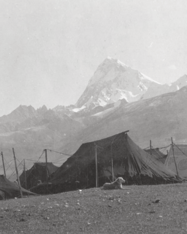 Stele Hima Jomo Lhasa Rose 1924 Eau De Parfum