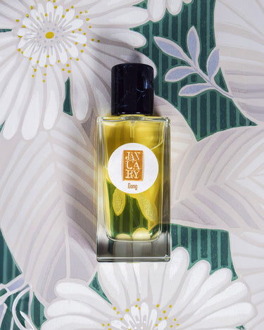 Stele January Scent Project Gong Eau De Parfum
