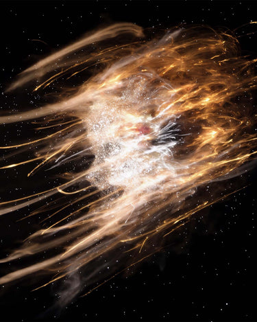 Stele L'Entropiste Altamura Eau De Parfum