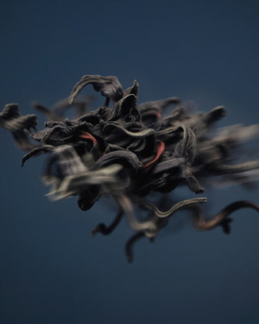 Stele L'Entropiste Jodhpur 6am Eau De Parfum