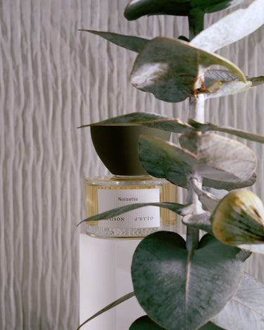 Stele Maison D'Etto Noisette Eau De Parfum