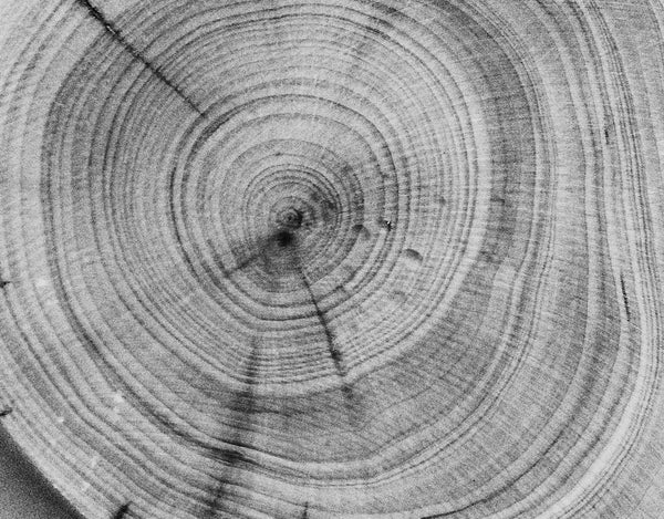 Stele Maison D'Etto Rotano Eau De Parfum