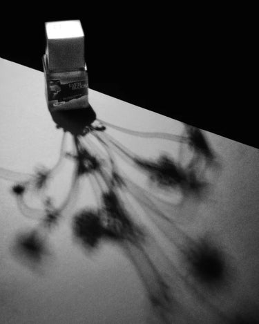 Stele NOMR Evenbloom Eau De Parfum