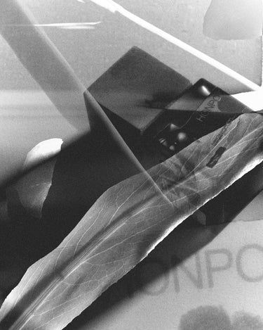 Stele NOMR Honpot Eau De Parfum