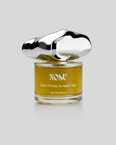stele NOSU Been Trying To Meet You Eau de Parfum