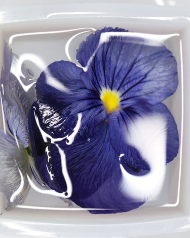 Stele NOSU Hides Eau De Parfum