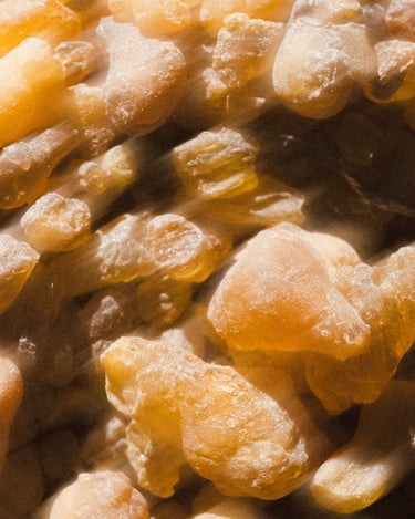 Stele Param Sara The Bodhi Eau De Parfum