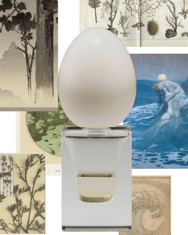 Stele Perfume Who At Land Eau De Parfum