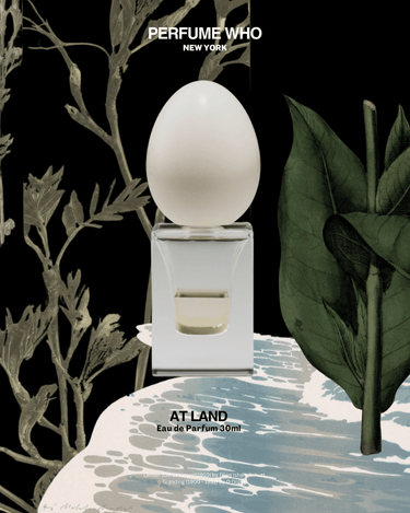 stele Perfume Who At Land Eau de Parfum