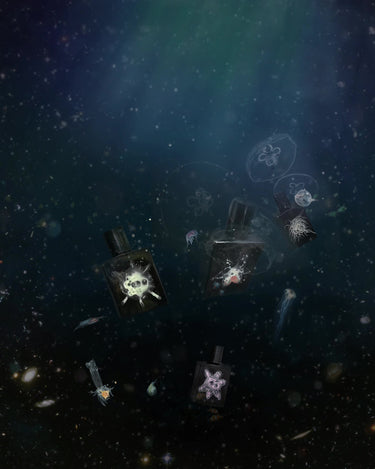 Stele Space Fluid Narcise Nocturne Eau De Parfum