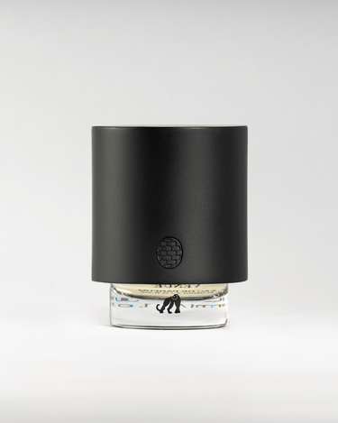 Stele Venue Cercle Sportif Eau De Parfum