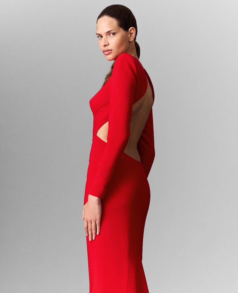 Stella Backless Long-Sleeve Floor-Length Dress