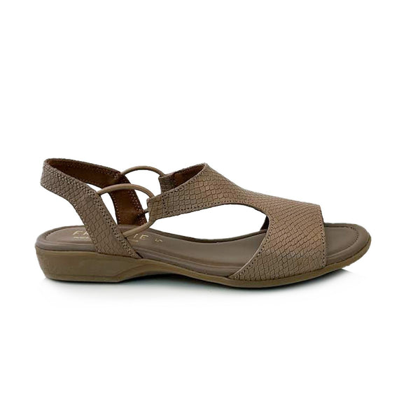 step ahead Froggie 12104 Stone Multi