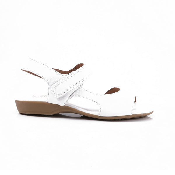 step ahead Froggie 12221 Wide White