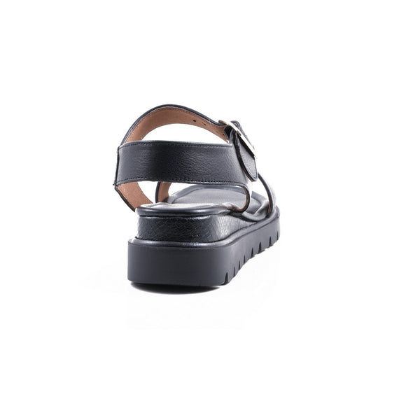 Step Ahead Froggie 12508 Black Multi