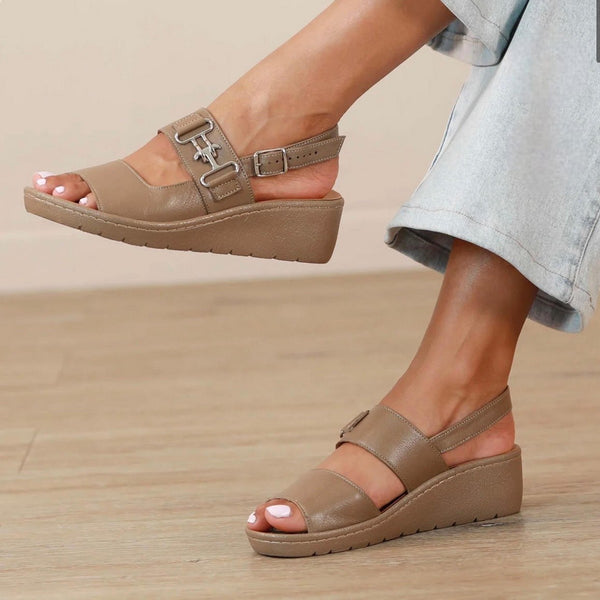 Step Ahead Froggie 12532 Stone