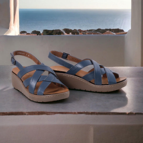 Step Ahead Froggie 12534 Manager