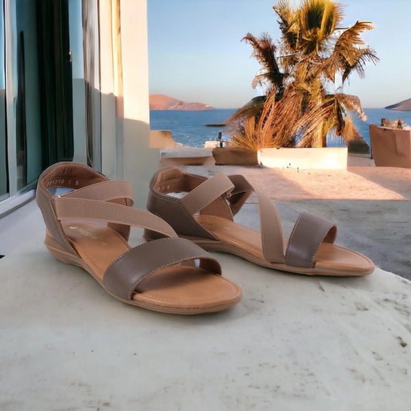 Step Ahead Froggie 12618