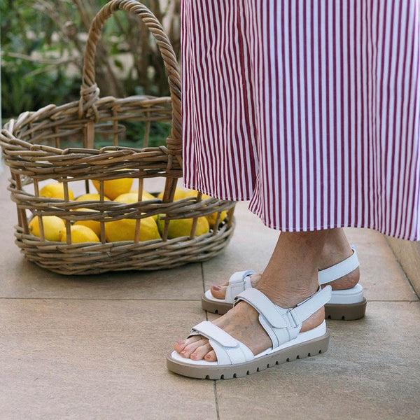 Step Ahead Froggie 12667 White