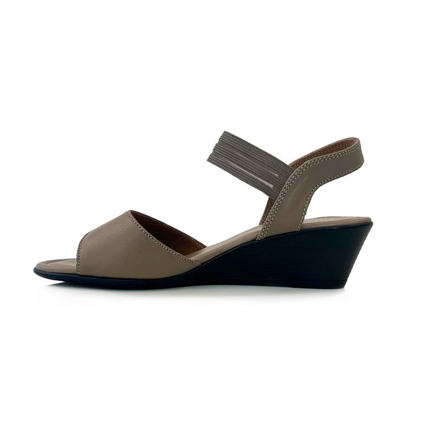 Step Ahead Froggie 12876 Stone