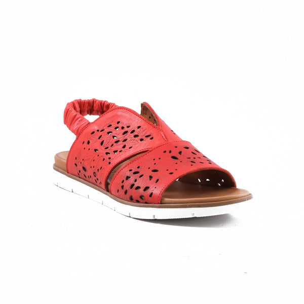 Step Ahead Pesso Sagitarius Red