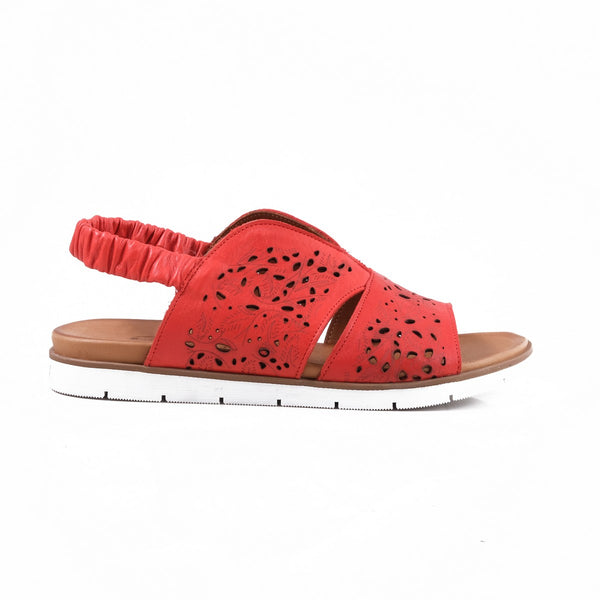 step ahead Pesso Sagitarius Red