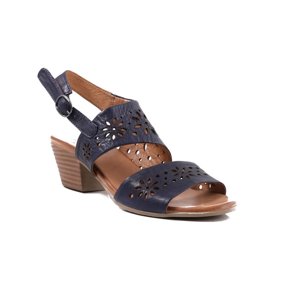 Step Ahead Pesso Shambock Navy