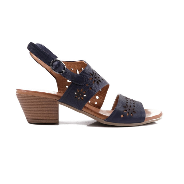 step ahead Pesso Shambock Navy