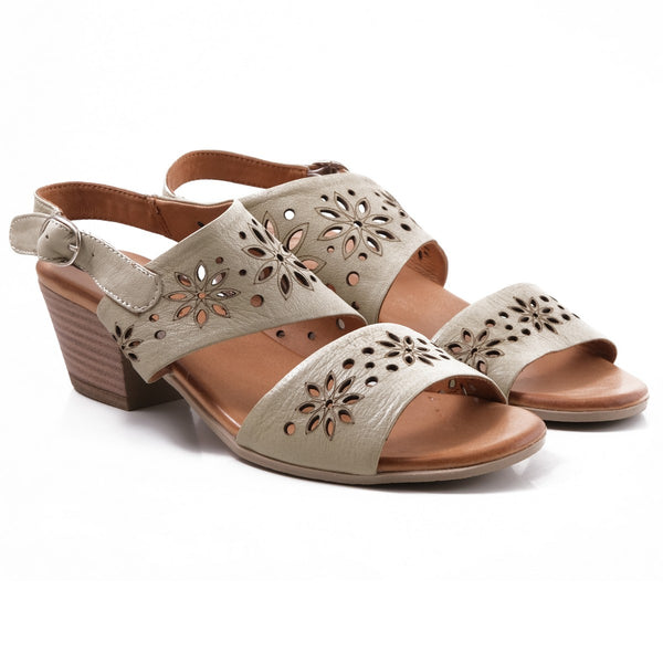 Step Ahead Pesso Shambock Scorpion