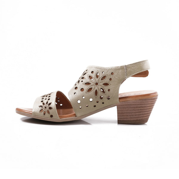 Step Ahead Pesso Shambock Scorpion