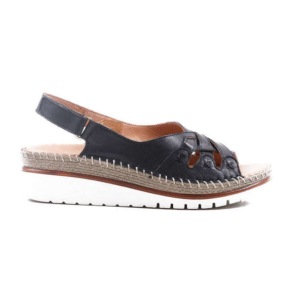 step ahead Pesso Shane Black