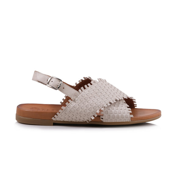 step ahead Pesso Shaniya Milk