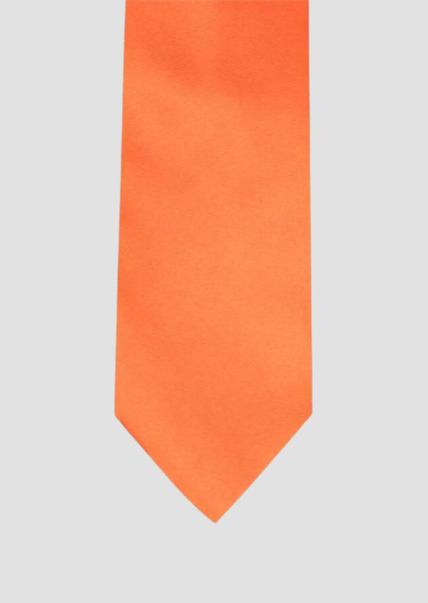 step n style 3.5in Ties