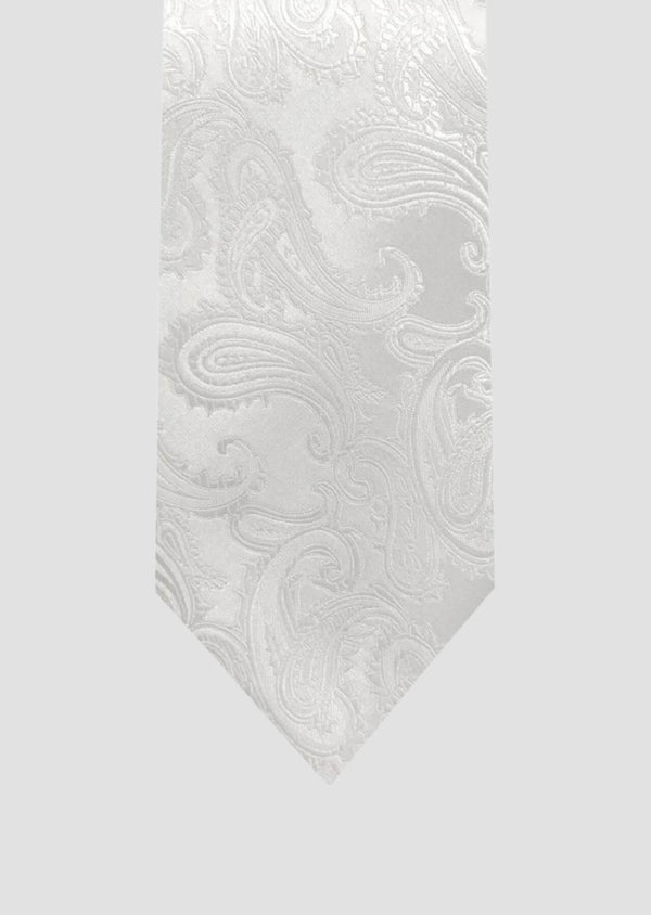 step n style Paisley tie and pocket square set