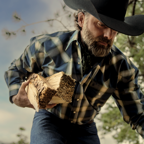 Stetson Blue Sage Dobby Plaid Western Shirt