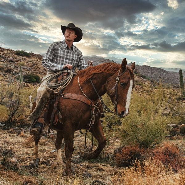 Stetson Dobby Twill Plaid Shirt