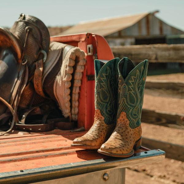 Stetson Ozzy Ostrich Boot