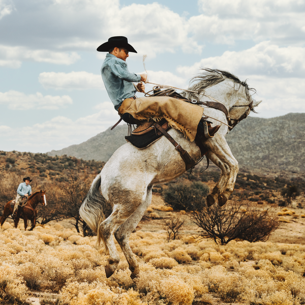 Stetson Skyline 6X Cowboy Hat