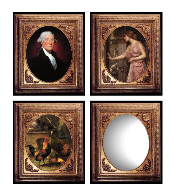 Steve Art Gallery 50x60 Cm Or 20x24 Ins Wooden Frame