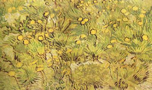 steve art gallery A Field of Yellow Flowers Vincent Van Gogh 34.5x53cm