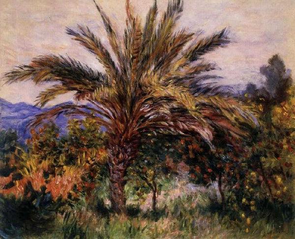 steve art gallery A Palm Tree at Bordighera Claude Monet 50x40cm