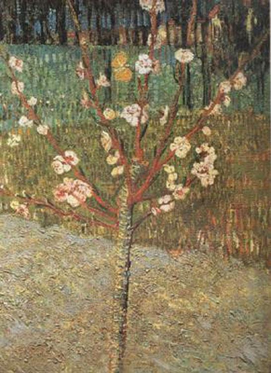steve art gallery Almond Tree in Blossom Vincent Van Gogh 48.5x36cm