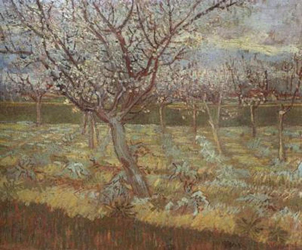 steve art gallery Apricot Trees in Blossom Vincent Van Gogh 55x65.5cm