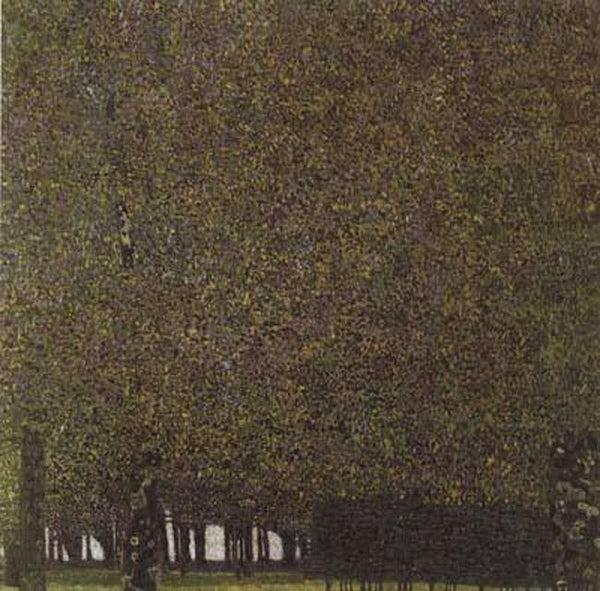 steve art gallery Beech Forest I Gustav Klimt 50x50cm