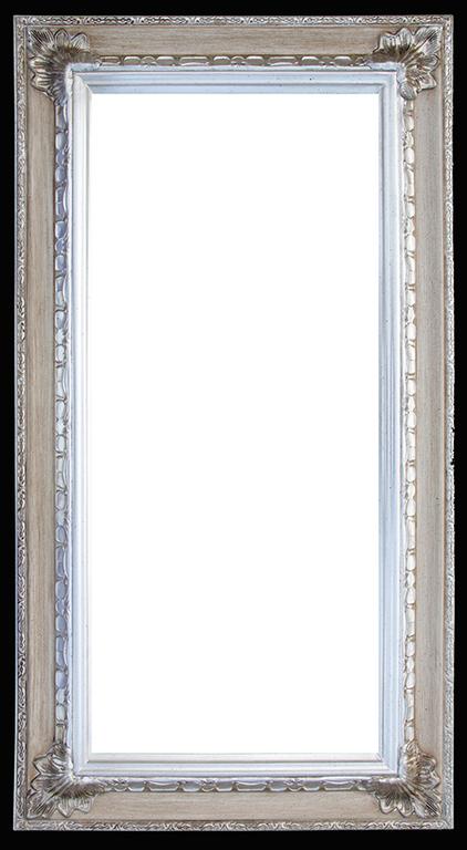Steve Art Gallery Beveled Mirror In Solid Wood 24x46 Ins