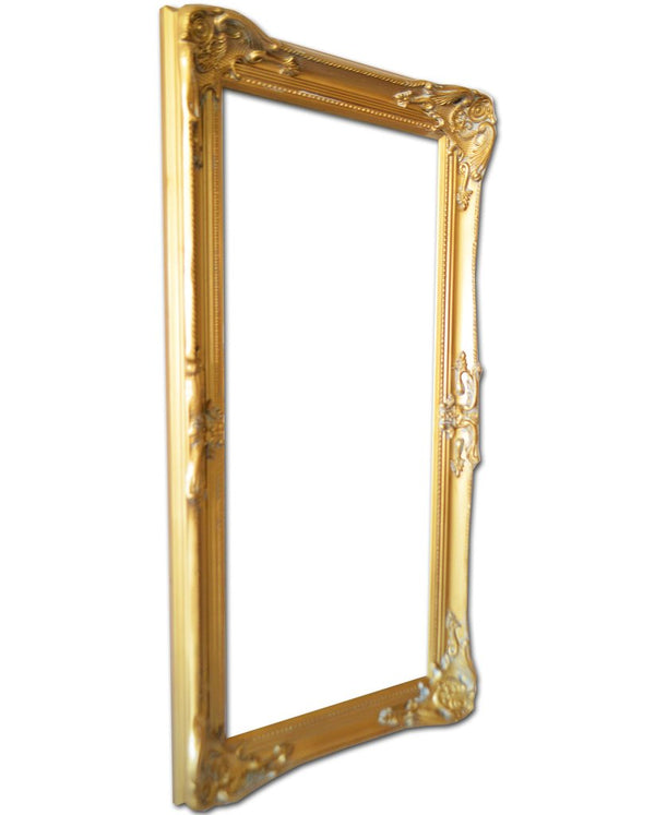 Steve Art Gallery Beveled Mirror In Solid Wood 24x46 Ins