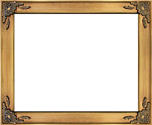 Steve Art Gallery Beveled Mirror In Solid Wood 24x46 Ins