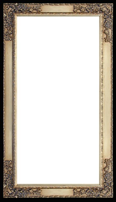 Steve Art Gallery Beveled Mirror In Solid Wood 45x26 Ins