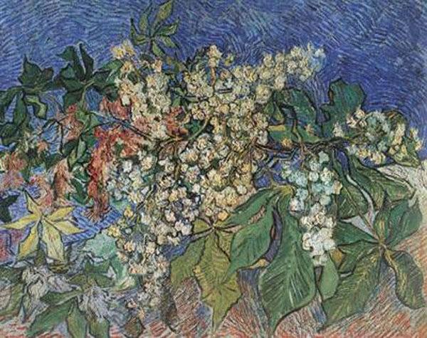 steve art gallery Blossoming Chestnut Branches Vincent Van Gogh 60x50cm
