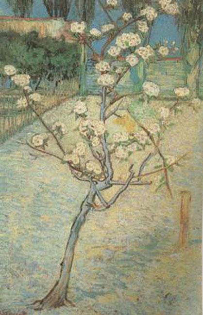 steve art gallery Blossoming Pear Tree Vincent Van Gogh 73x46cm